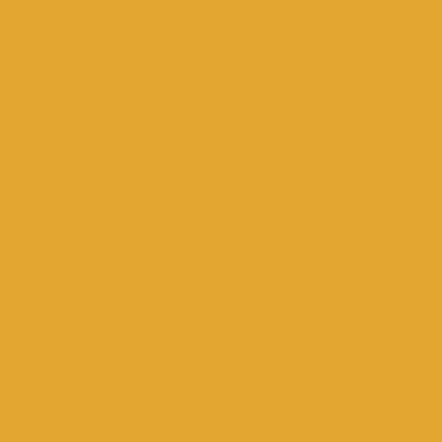 Face Mask - Mustard Yellow