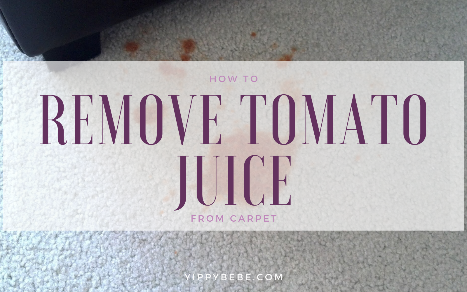 How to Remove Tomato Juice from Carpet Yippy BeBe